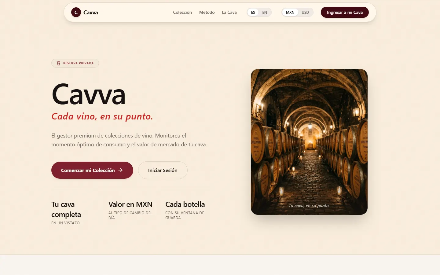 Captura del sitio de Cavva